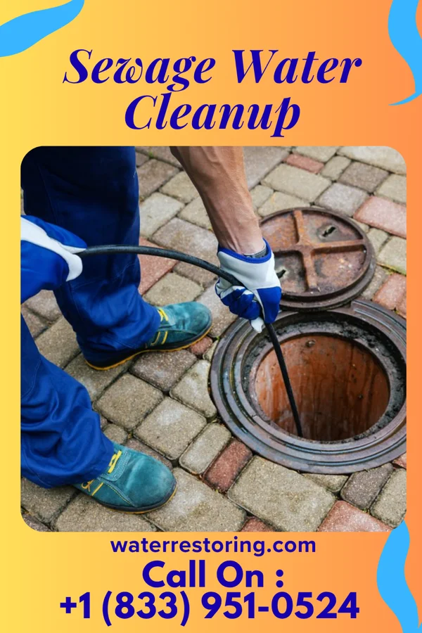 Sewage Water Cleanup in Fairfield, TX